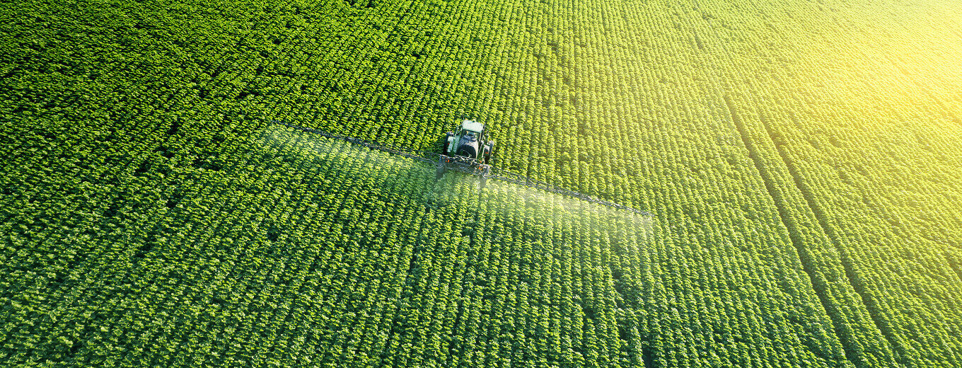 Создание сайтов и продвижение сайтов Centum-D Сайт аграрной компании. Особенности разработки