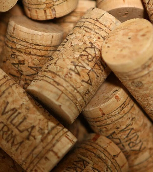 АлефВинал case