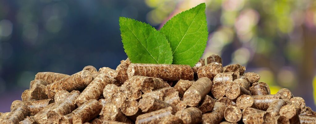 Крона Импульс