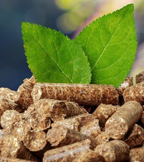 Крона Импульс case