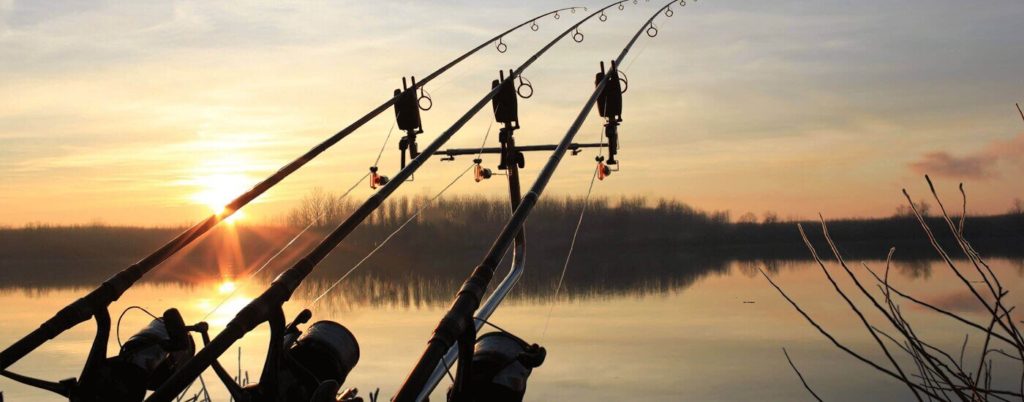 Орлеан кейс компании