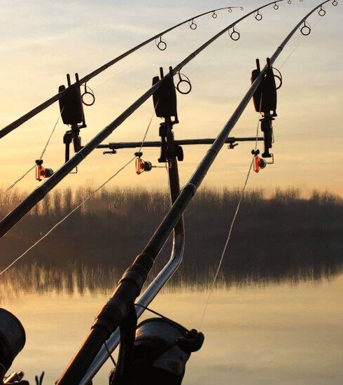 Орлеан кейс компании case