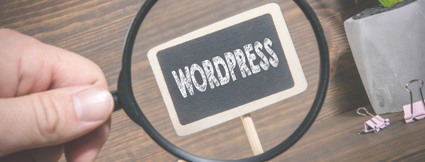 Создание сайтов и продвижение сайтов Centum-D WordPress универсальное решение для экономии бюджета