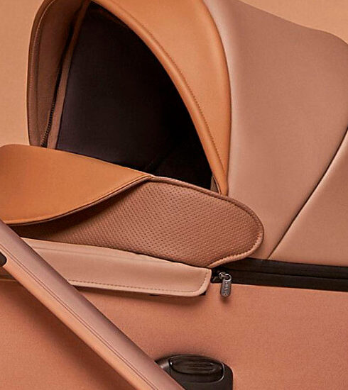 Мамин Дом case